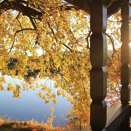Ferienhaus Schwalbennest - Chalet Direkt An Der Donau Bei Regensburg * Pentling